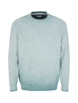 TOM TAILOR Men + Pulover verde amestecat