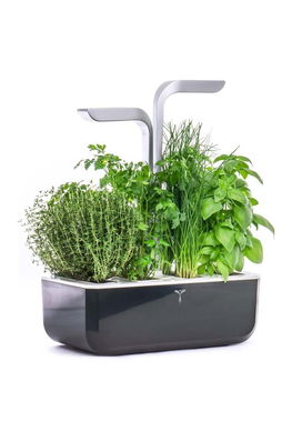 Veritable gradina de casa autonoma Smart negru