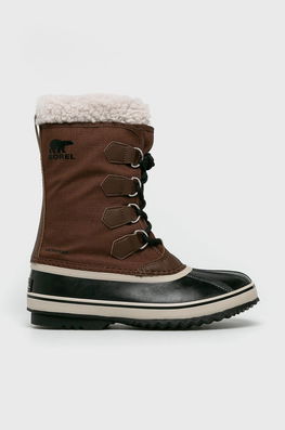 Sorel barbati, culoarea maro, izolat