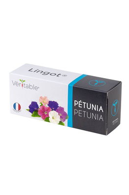 Veritable - Insertie de seminte petunii multicolor